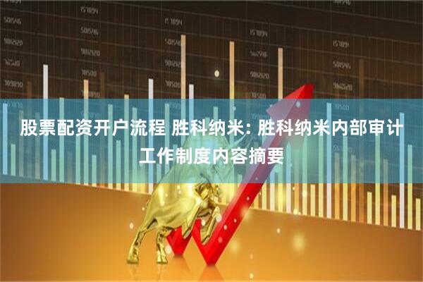 股票配资开户流程 胜科纳米: 胜科纳米内部审计工作制度内容摘要