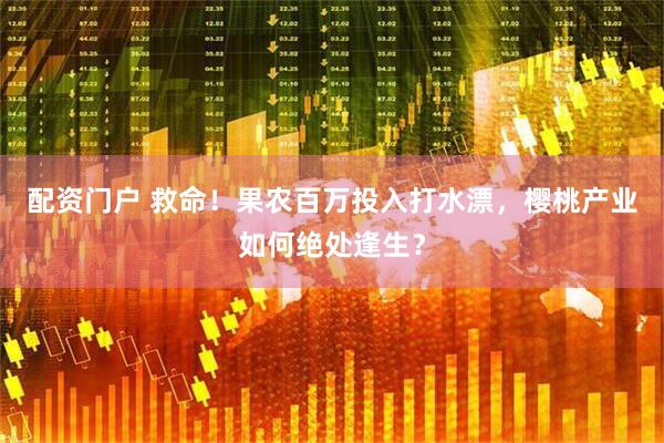 配资门户 救命！果农百万投入打水漂，樱桃产业如何绝处逢生？
