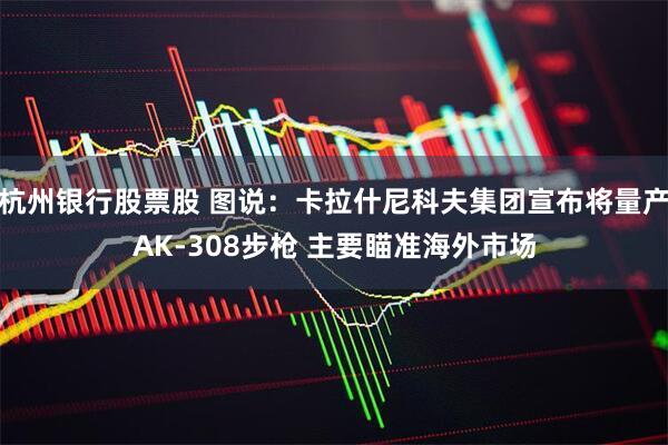 杭州银行股票股 图说：卡拉什尼科夫集团宣布将量产AK-308步枪 主要瞄准海外市场